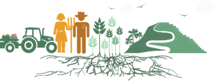 roots